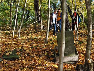 Jewish cemetery Slubice